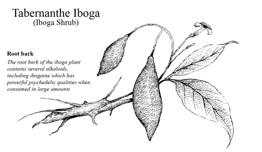 ibogaine