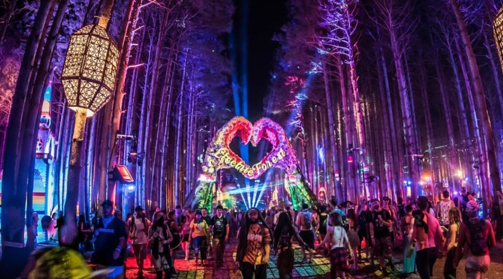 electric forest festival baby found